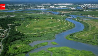 In the 1990s, New York chose wetlands over conventional storm sewers on Staten Island; the Bluebelt strategy saved taxpayers $80 million in infrastructure costs