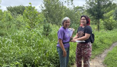 Volunteer groups help maintain NYC parks as budget remains flat