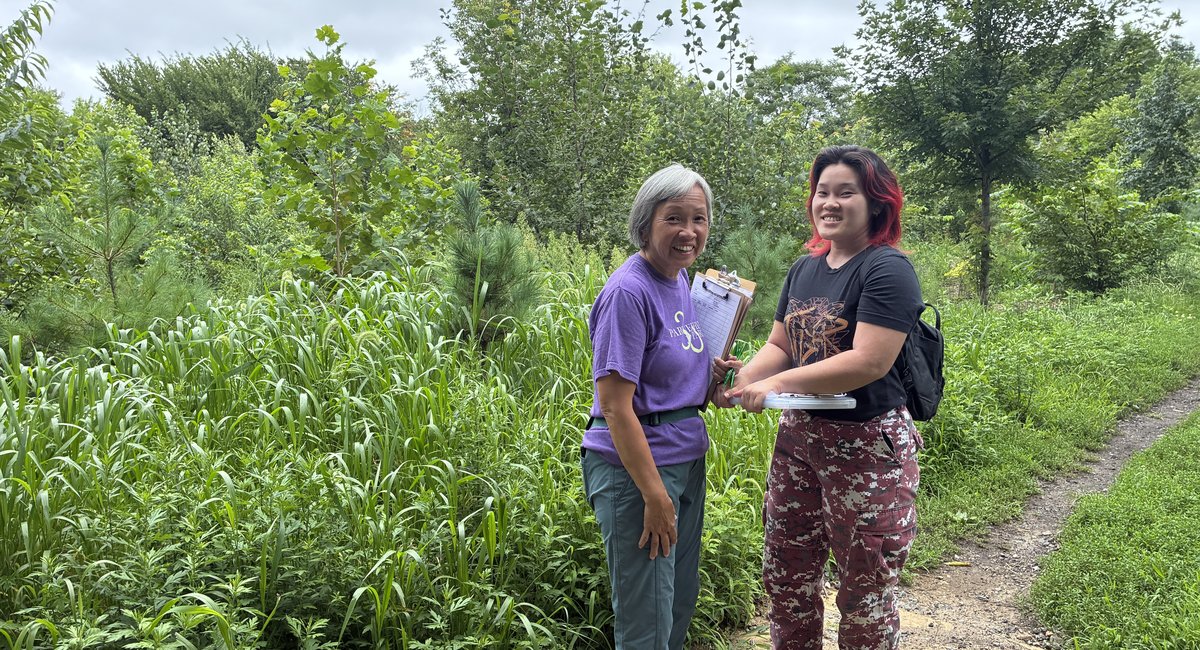 Volunteer groups help maintain NYC parks as budget remains flat