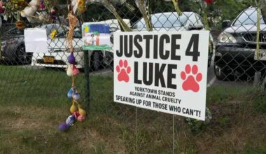 Retired NYPD officer accused of shooting homeless man's dog faces hostile crowd at Yorktown court