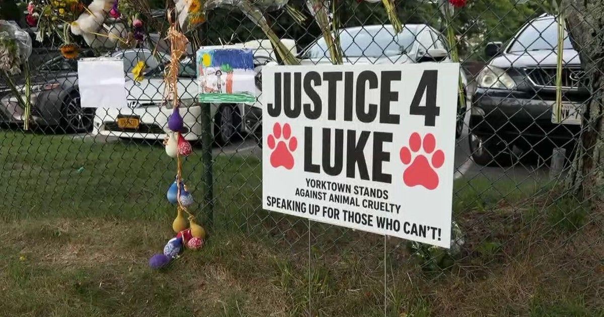 Retired NYPD officer accused of shooting homeless man's dog faces hostile crowd at Yorktown court