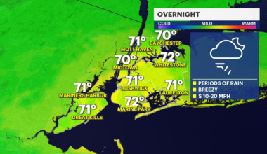 NY F P1 PM 1