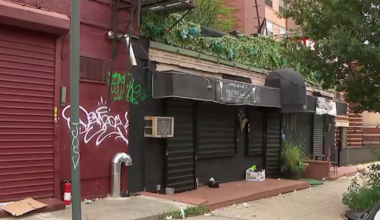 Mom, 33, killed in stray-bullet shooting at bar in Crown Heights