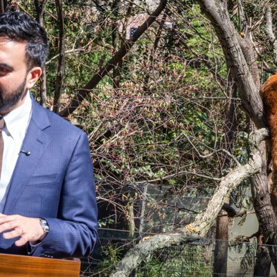 We Covered a Zoo? The best and worst press conference locations