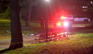 Woman, 30, killed in Brooklyn park stabbing, NYPD says