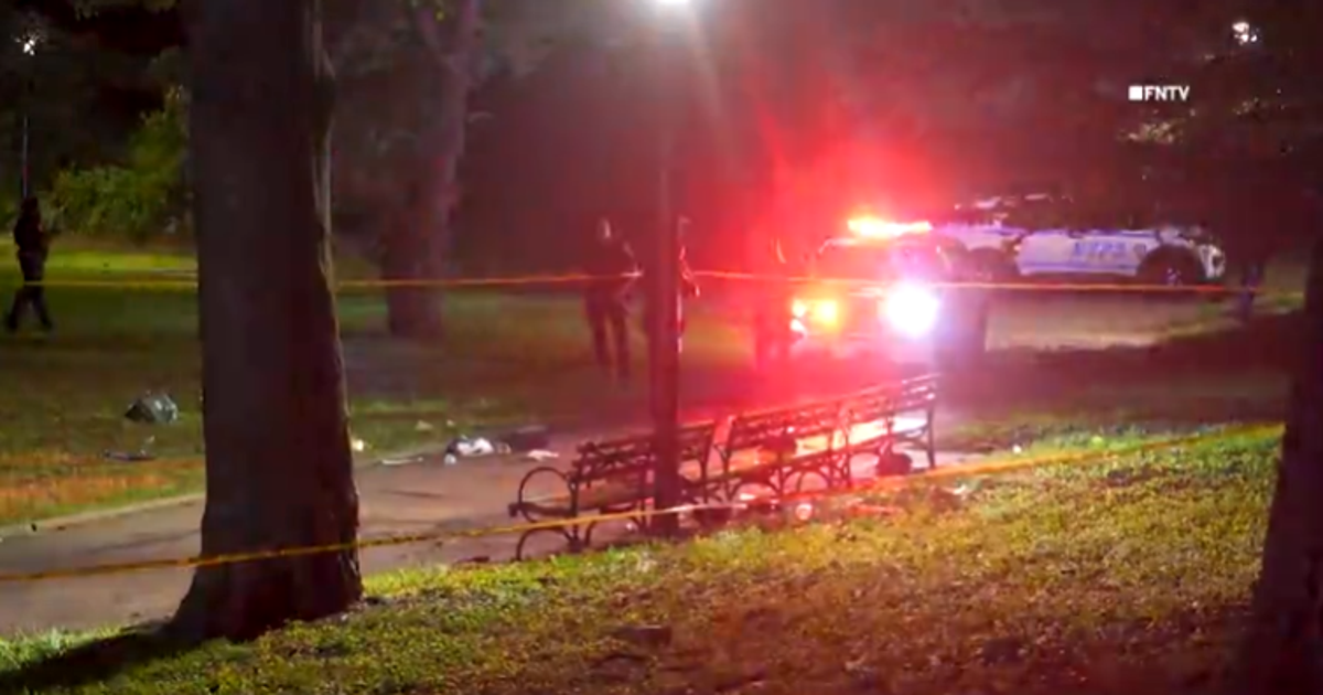 Woman, 30, killed in Brooklyn park stabbing, NYPD says