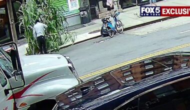 NYC kids' corn project chopped down; exclusive surveillance released