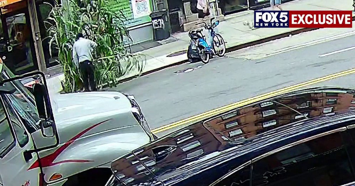 NYC kids' corn project chopped down; exclusive surveillance released