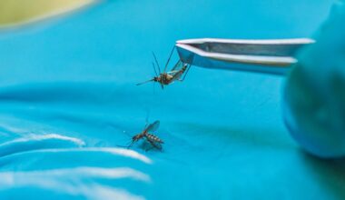NYC and Suffolk County report first human West Nile virus cases of 2026