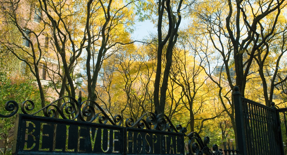 Man dies at Bellevue jail unit in sixth NYC custody death of 2026