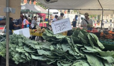 Is it safe to eat salad? How New Yorkers are coping with the threat of cyclosporiasis.