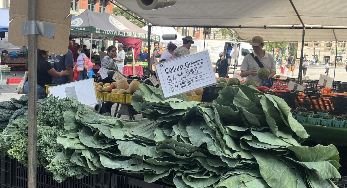 Is it safe to eat salad? How New Yorkers are coping with the threat of cyclosporiasis.
