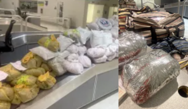 NY men busted with 847 pounds of illegal khat at Maryland airport