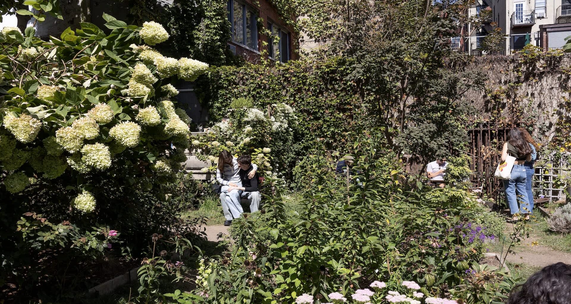 Elizabeth Street Garden with various plants and flowers, featuring people sitting and exploring the space.