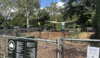 Bed-Stuy's Herbert Von King Park dog run closed due to contamination