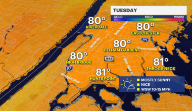 News 12 | Bronx | Your Daily Bronx Weather Forecast