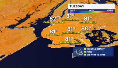 News 12 | Bronx | Your Daily Brooklyn Weather Forecast