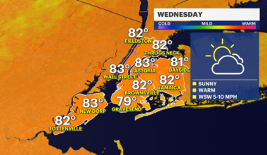 News 12 | Bronx | Your Daily Brooklyn Weather Forecast