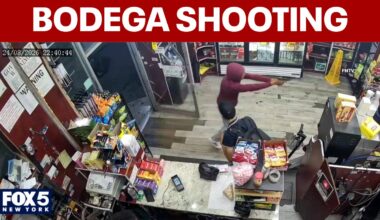 NYPD search for gunman in Bronx bodega shooting