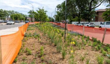 Mamdani, Hochul announce $8.4 million initiative to transform concrete medians into green infrastructure across Queens – QNS