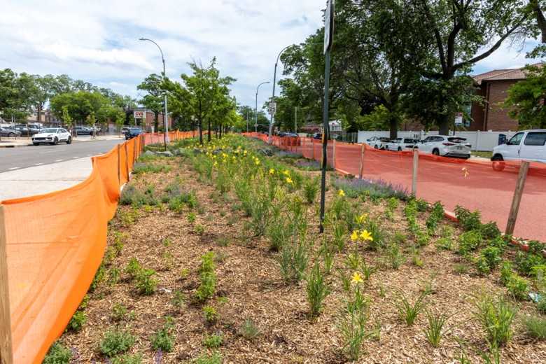 Mamdani, Hochul announce $8.4 million initiative to transform concrete medians into green infrastructure across Queens – QNS