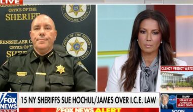 New York law enforcement leaders sue Hochul