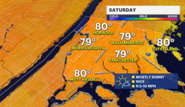 News 12 | Bronx | Your Daily Brooklyn Weather Forecast
