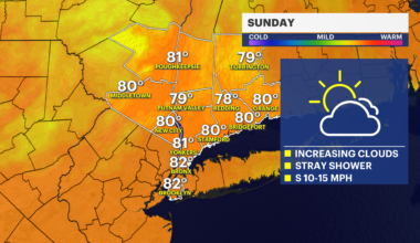 NYC SUNDAY.png