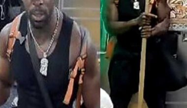 Green-thumb brute attacks Manhattan straphanger with gardening tool