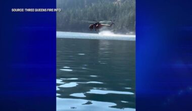 Forest Service to hold public meeting Aug. 31 on Three Queens, King and Goat fires | Fire