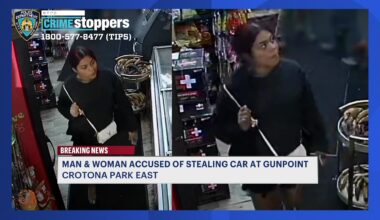 News 12 | Bronx | Police Search For Armed Duo Behind Car Heist In Crotona Park East