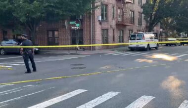 87-year-old woman shot in the neck in the Bronx; persons of interest in custody