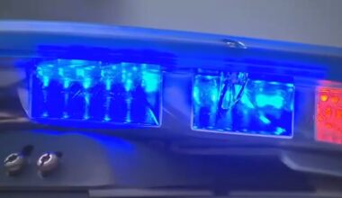 75-year-old woman attacked by 2 dogs in Valley Stream, Long Island
