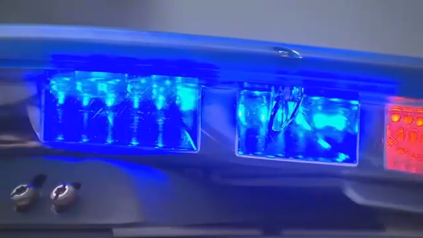 75-year-old woman attacked by 2 dogs in Valley Stream, Long Island