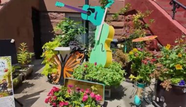 Crown Heights block wins 'Greenest Block in Brooklyn' contest