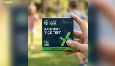 New home test to detect Lyme disease in ticks to launch in Suffolk County