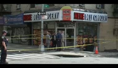 Man fatally struck by hit-and-run driver, then NYPD vehicle in Bronx