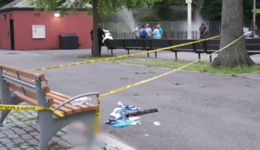 10-year-old girl may lose fingers after firework explodes in Staten Island park