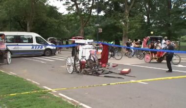 Central Park horse carriage death: Family of Romanch Mahajan to file $105 million lawsuit against NYC