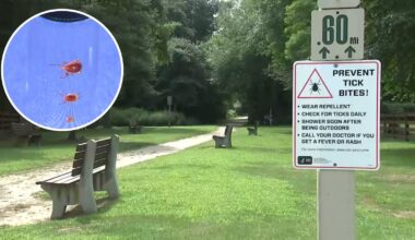 Suffolk County fighting rising tick population and best ways to protect yourself and pets on LI