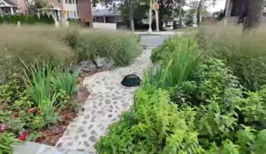Queens neighborhoods get stormwater-absorbing medians to help mitigate flood issues