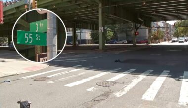 Brooklyn nurse Jiayi Zheng killed in Sunset Park hit-and-run; driver still sought