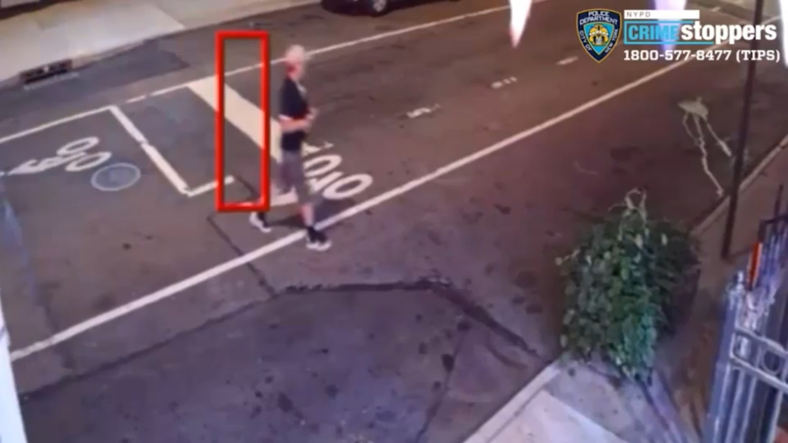 Police: Man pushes woman to ground, sexually assaults her in Park Slope