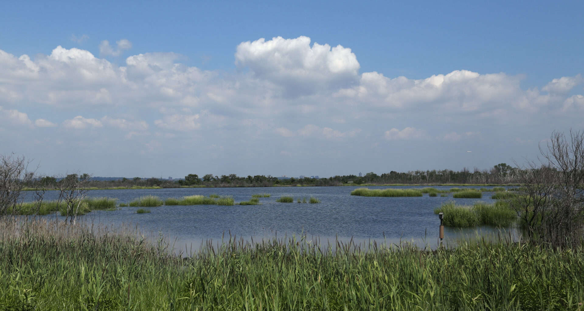How To Enjoy NYC’s Jamaica Bay, on Water or Land