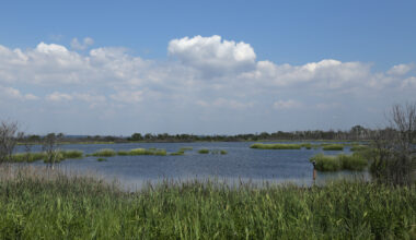 How To Enjoy NYC’s Jamaica Bay, on Water or Land