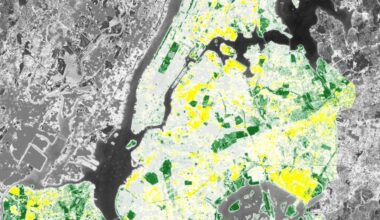Tree-focused tech aims to bring more shade to vulnerable New Yorkers