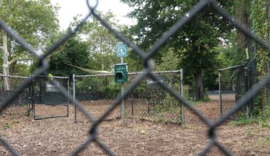 Elevated levels of mercury, arsenic found in dog run at Herbert Von King Park • Brooklyn Paper