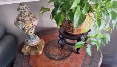Score amazing deals at Queens’ hidden thrift shops – QNS