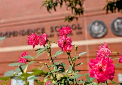 Tribeca Citizen | Seen & Heard: Shoutout to the PS 234 gardeners