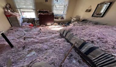Tenants seek court to take over management of Fordham building due to hazardous living conditions – Bronx Times